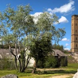 Fellner Jakab-kilátó Tata - Egyéb