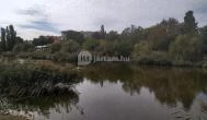 Feneketlen-tó Budapest - Egyéb