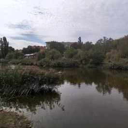Feneketlen-tó Budapest - Egyéb