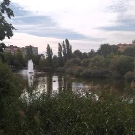 Feneketlen-tó Budapest - Egyéb