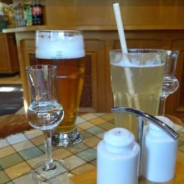 Fenyőgyöngye Vendéglő Budapest - Étel/ital