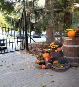 Fenyőgyöngye Vendéglő