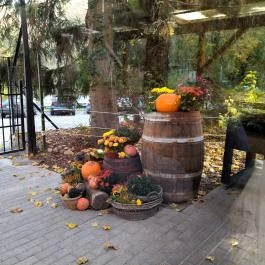 Fenyőgyöngye Vendéglő Budapest - Külső kép