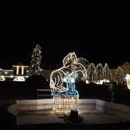 Fénypompás Kastélypark , Gödöllő - Egyéb