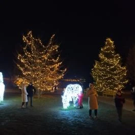 Fénypompás Kastélypark , Gödöllő - Egyéb