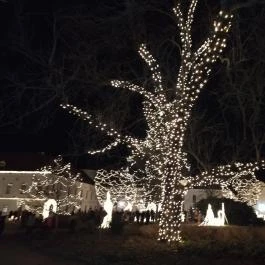 Fénypompás Kastélypark , Gödöllő - Egyéb