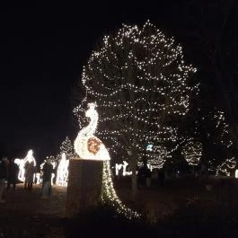 Fénypompás Kastélypark , Gödöllő - Egyéb