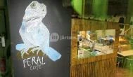 Feral Cafe Budapest - Belső