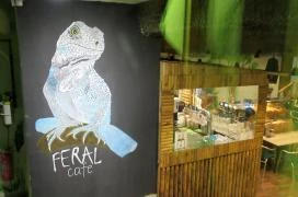 Feral Cafe Budapest