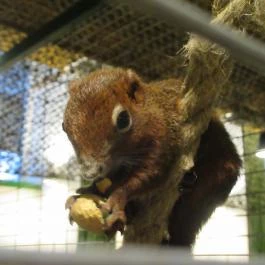 Feral Cafe Budapest - Belső