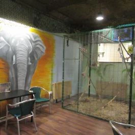 Feral Cafe Budapest - Belső