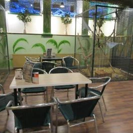 Feral Cafe Budapest - Belső