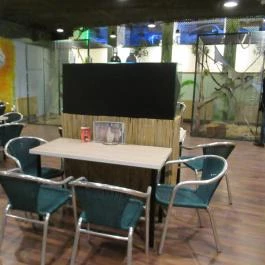 Feral Cafe Budapest - Belső