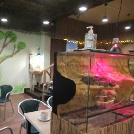 Feral Cafe Budapest - Belső