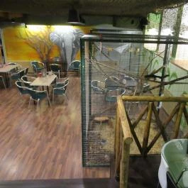 Feral Cafe Budapest - Belső