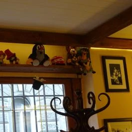 Ferdinánd Monarchia Cseh Sörház Budapest - Belső