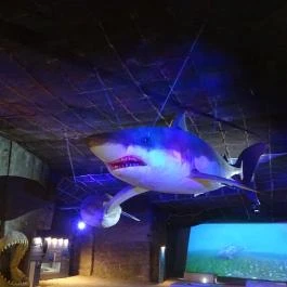 Fertőrákosi Kőfejtő, Fertőrákos - 