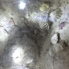 Fertőrákosi Kőfejtő, Fertőrákos - 