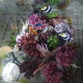 Fertőrákosi Kőfejtő, Fertőrákos - 