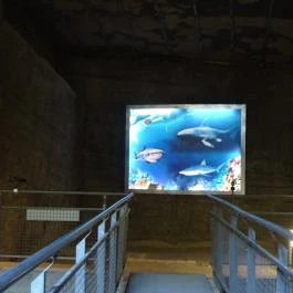 Fertőrákosi Kőfejtő, Fertőrákos - 