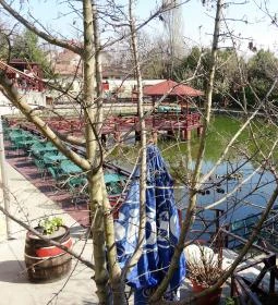 Festal Étterem és Hennessy Club