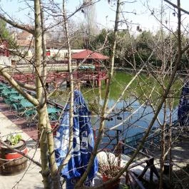 Festal Étterem és Hennessy Club, Érd - Külső kép