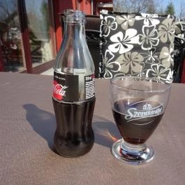 Festal Étterem és Hennessy Club, Érd - Külső kép