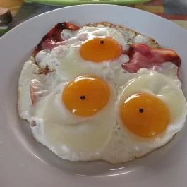 Fiáker Panzió, Miskolc - Vendéglátás