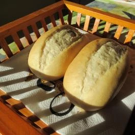 Fiáker Panzió, Miskolc - Vendéglátás