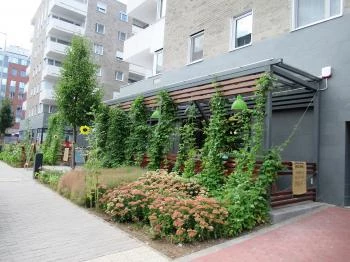 Figi & Lipike Budapest