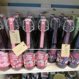 Figi & Lipike Budapest - Egyéb