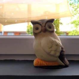 Figyi Coffee, Makó - Egyéb