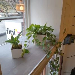 Fini'z Budapest - Belső