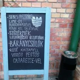 Fióka Budapest - Egyéb