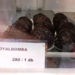 Fischer Cukrászda Budapest - Étel/ital