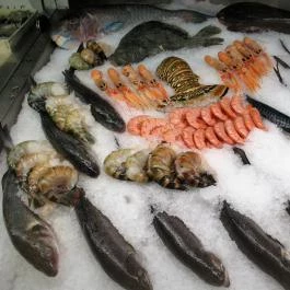 Fishmonger GOBUDA Budapest - Egyéb