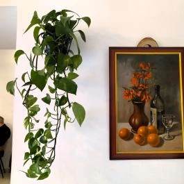 Flat White Art Specialty Caffee Budapest - Belső