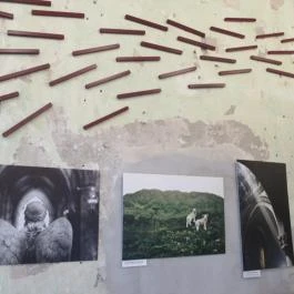 Flow Specialty Coffee Bar & Bistro Budapest - Belső