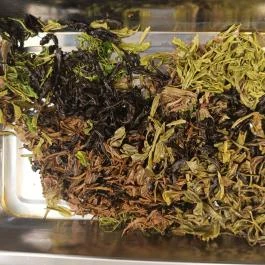 Flying Bird Tea House Budapest - Étel/ital