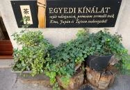 Flying Bird Tea House Budapest