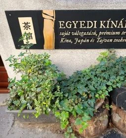 Flying Bird Tea House