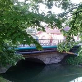 Fodor Hotel, Gyula - Környék