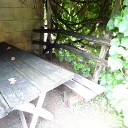 Fogadó a Fehér Hattyúhoz, Bikal - Külső kép