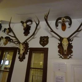 Öreg Prés Étterem Mór - Belső