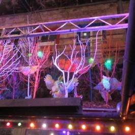 Instant- Fogas, Budapest - Egyéb