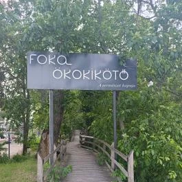 FOKA Kávézó és Bár, Szeged - Külső kép