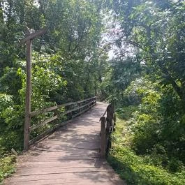 FOKA Kávézó és Bár, Szeged - Külső kép