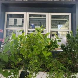 FOKA Kávézó és Bár, Szeged - Külső kép
