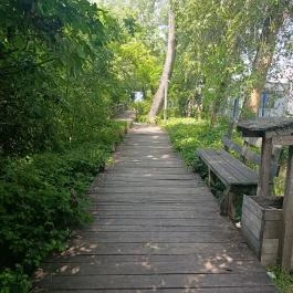 FOKA Kávézó és Bár, Szeged - Külső kép