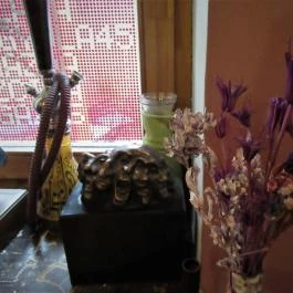 Folt Kávézó Szentendre - Egyéb